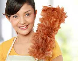 Maid Insurance